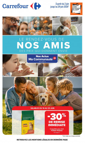 Carrefour Catalogue