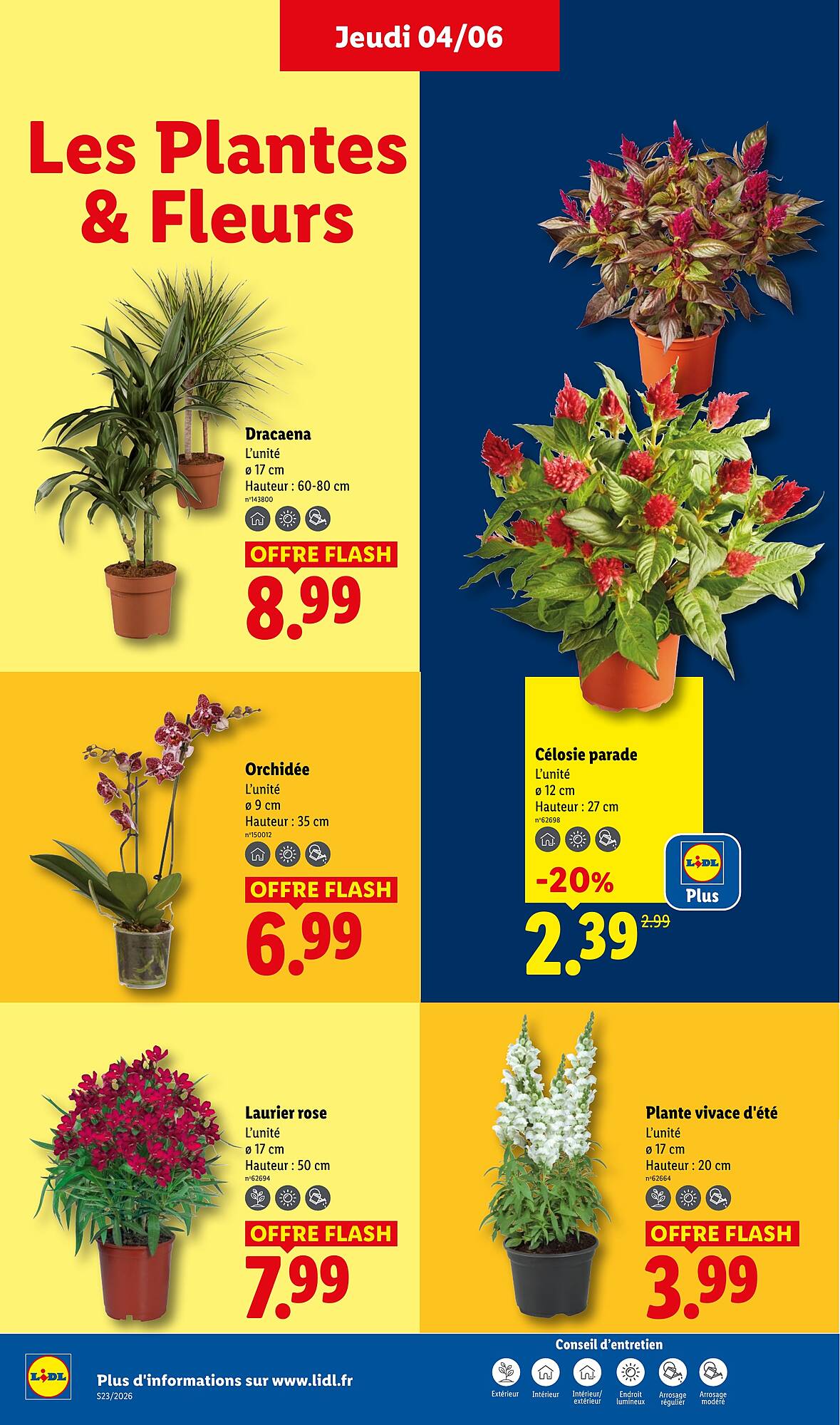Lidl Catalogue - Pagina 26