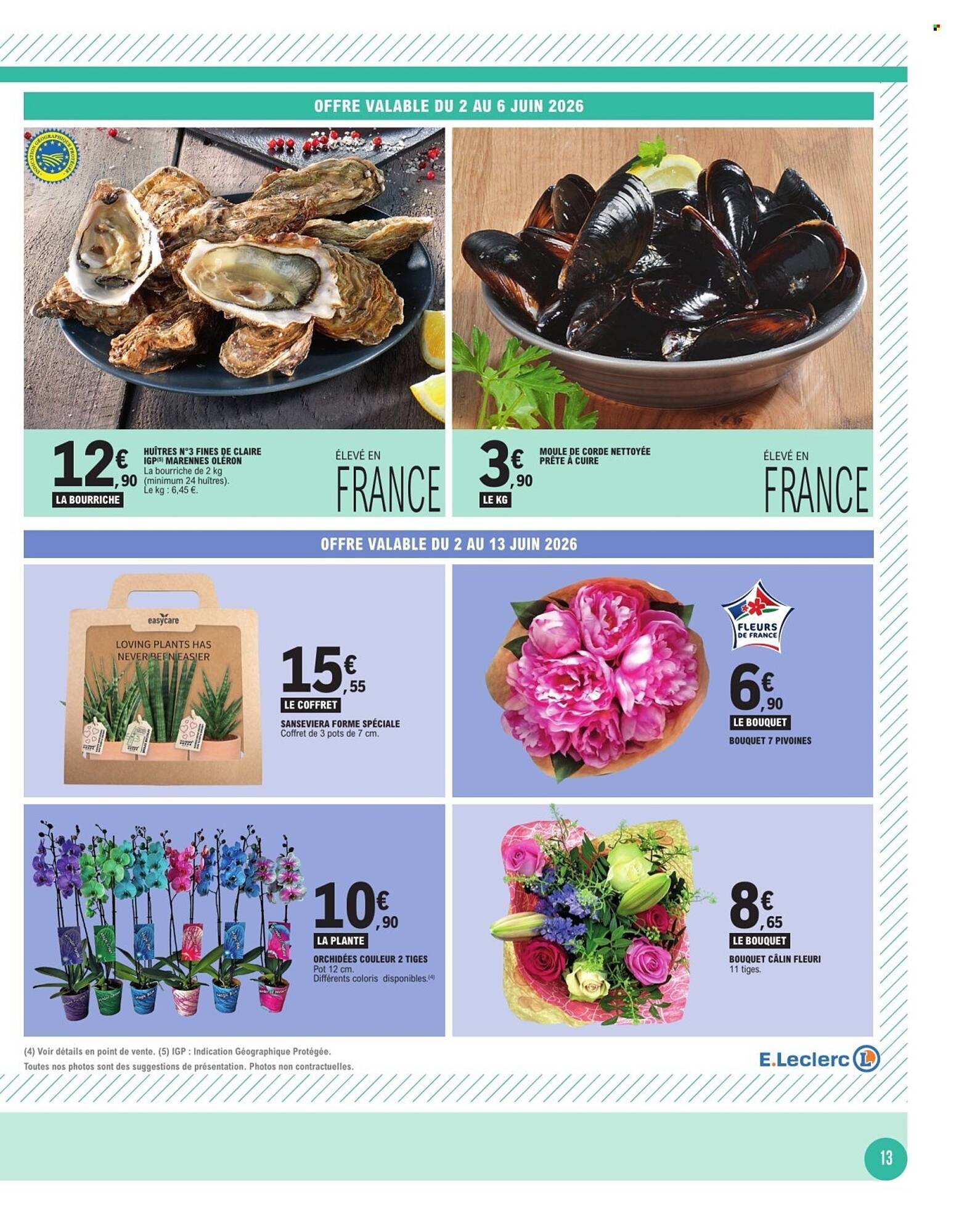 E.Leclerc Catalogue - Pagina 13