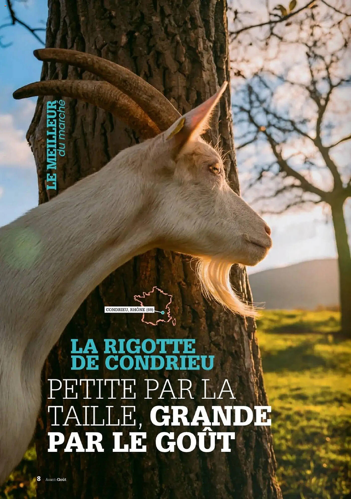 Grand Frais Catalogue - Pagina 2