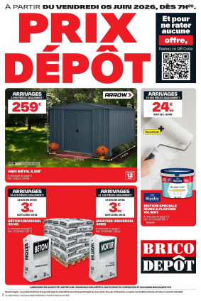 Brico Dépôt Catalogue