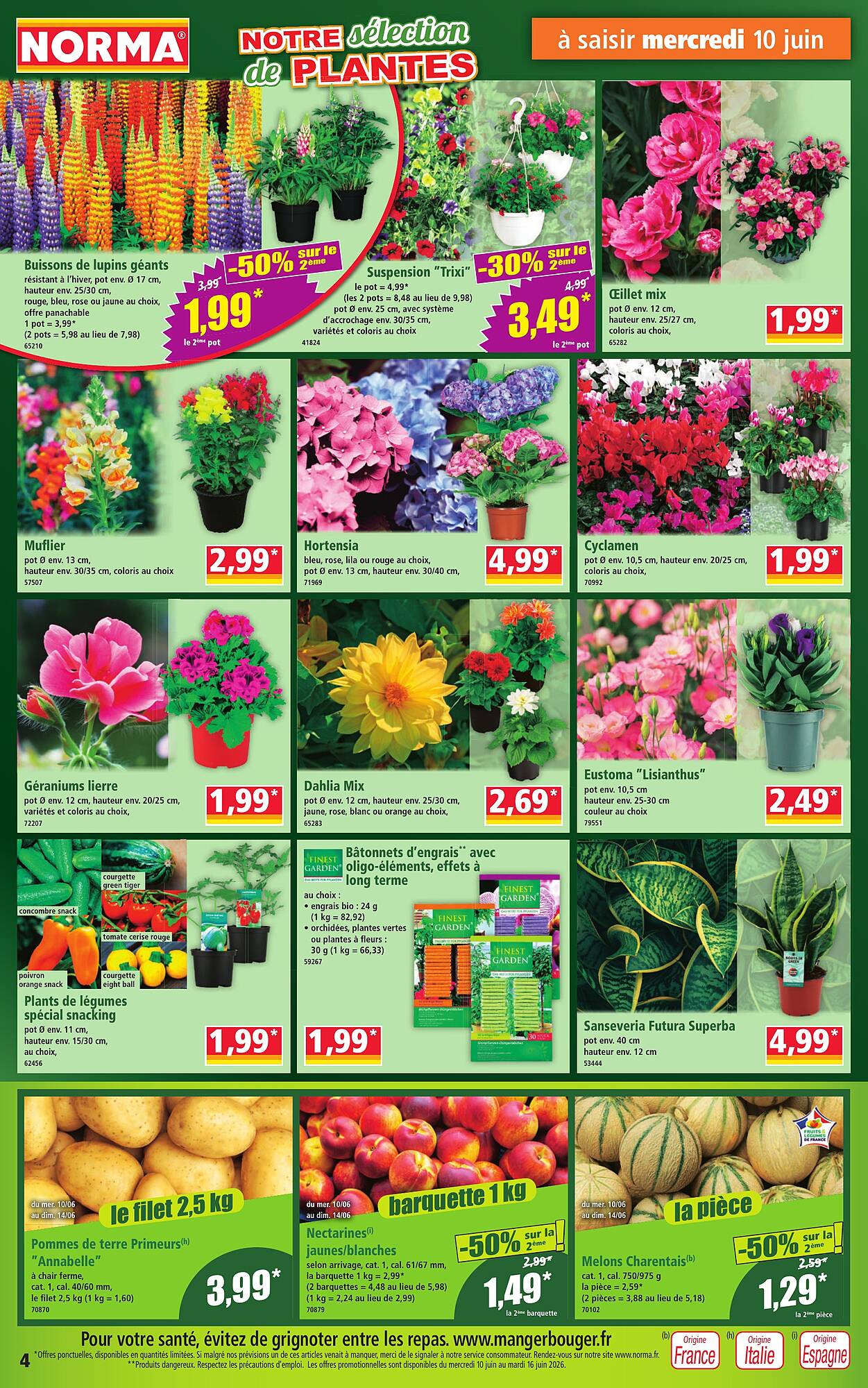 Norma Catalogue - Pagina 4