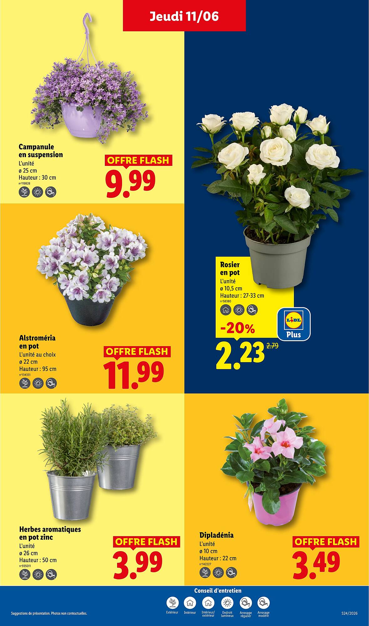 Lidl Catalogue - Pagina 29