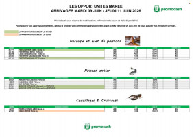 Promocash catalogue