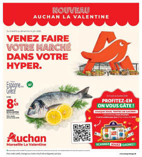 Auchan catalogue