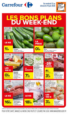 Carrefour catalogue