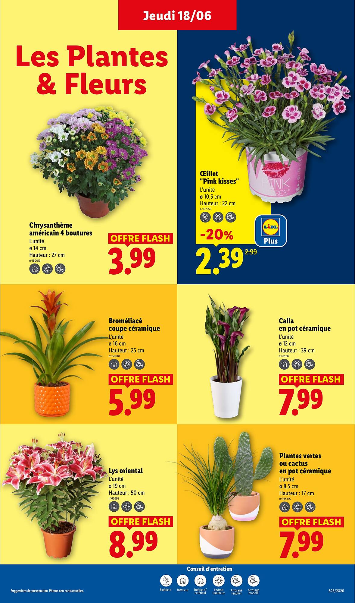 Lidl Catalogue - Pagina 27