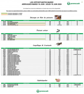 Promocash catalogue