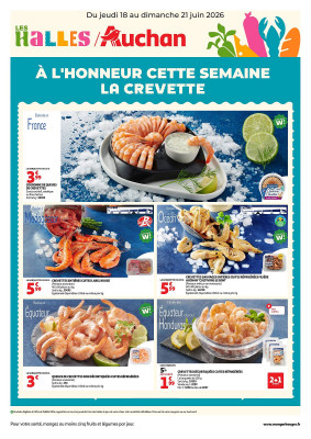 Auchan catalogue
