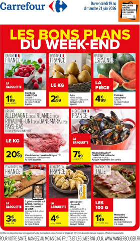 Carrefour catalogue
