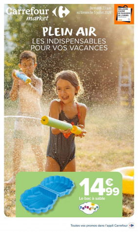Carrefour Market Catalogue