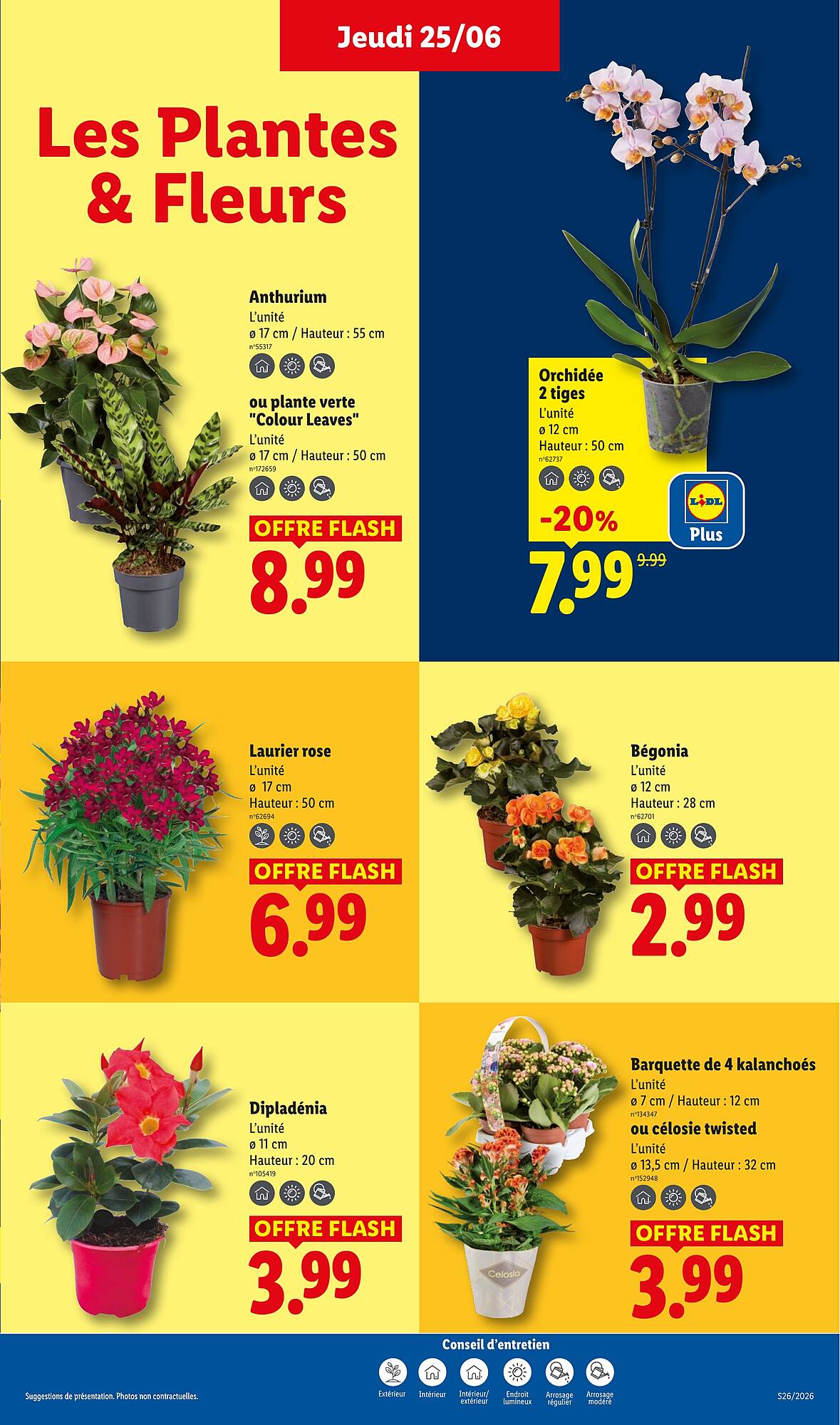 Lidl Catalogue - Pagina 29