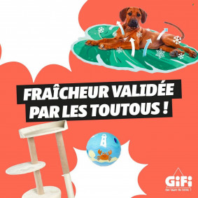 Gifi Catalogue