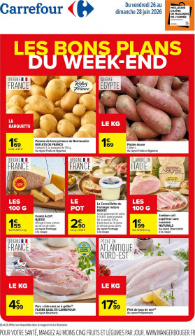 Carrefour catalogue