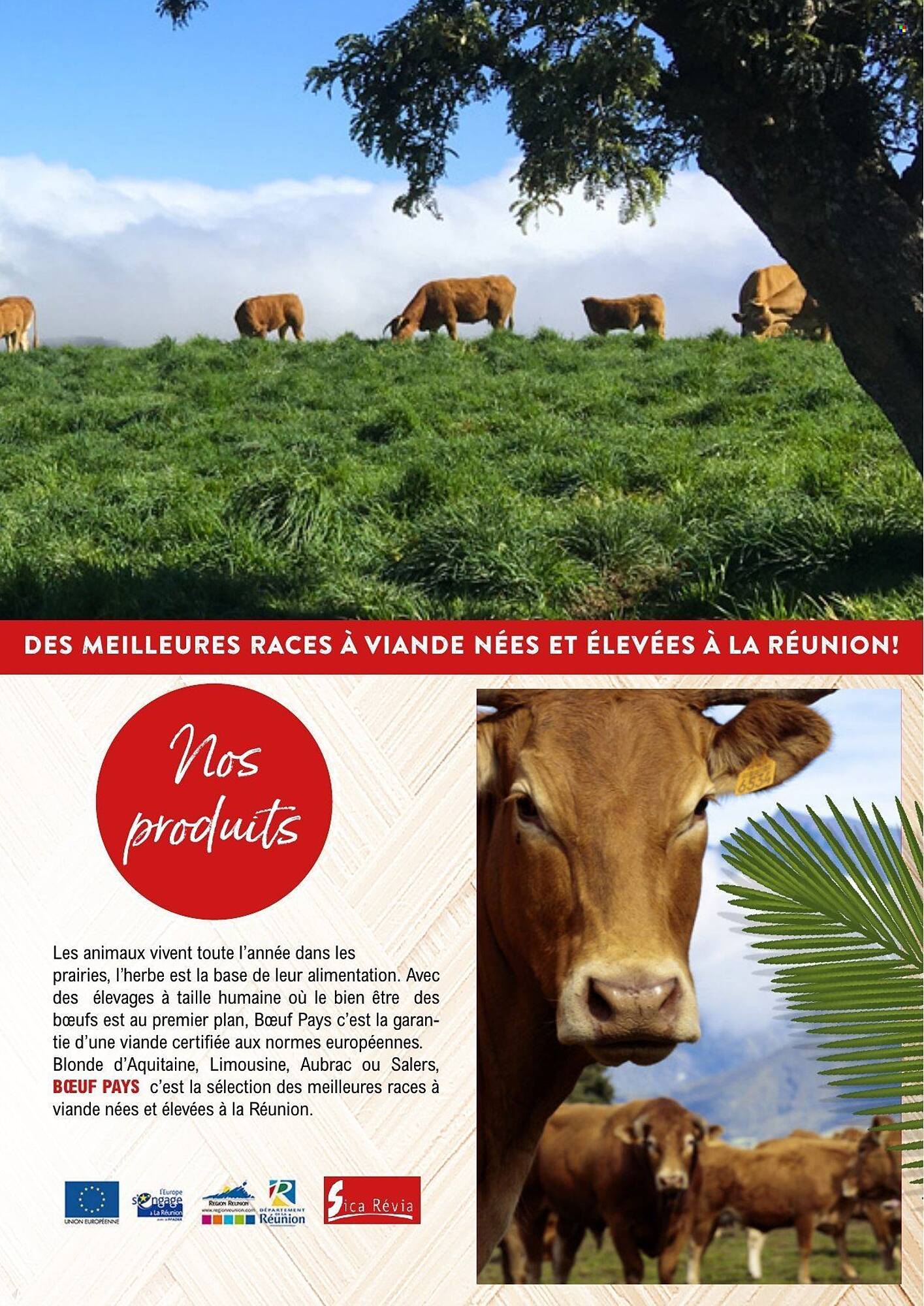 E.Leclerc Catalogue - Pagina 13