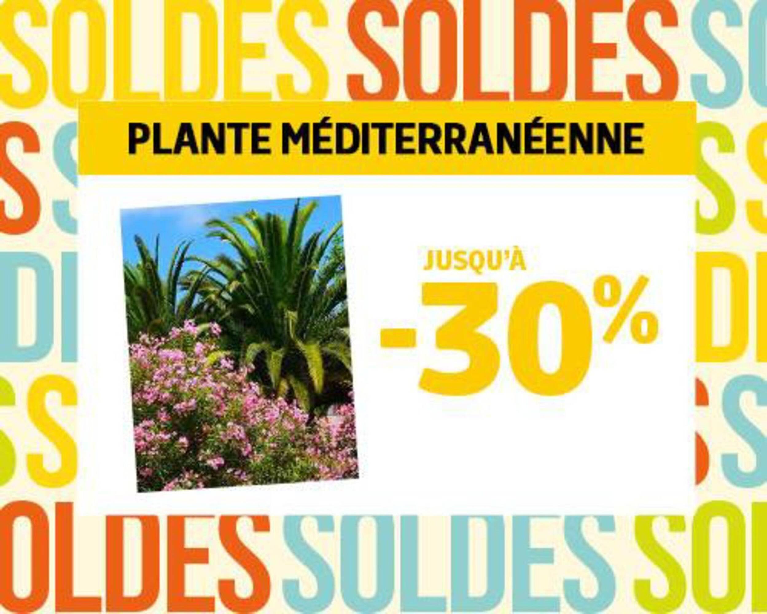 Jardiland Catalogue - Pagina 4