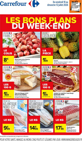 Carrefour catalogue