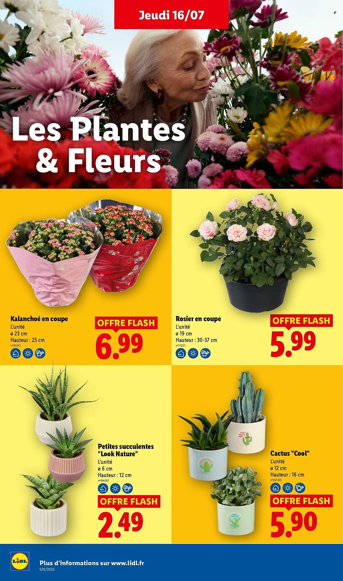 Lidl Catalogue - Pagina 26