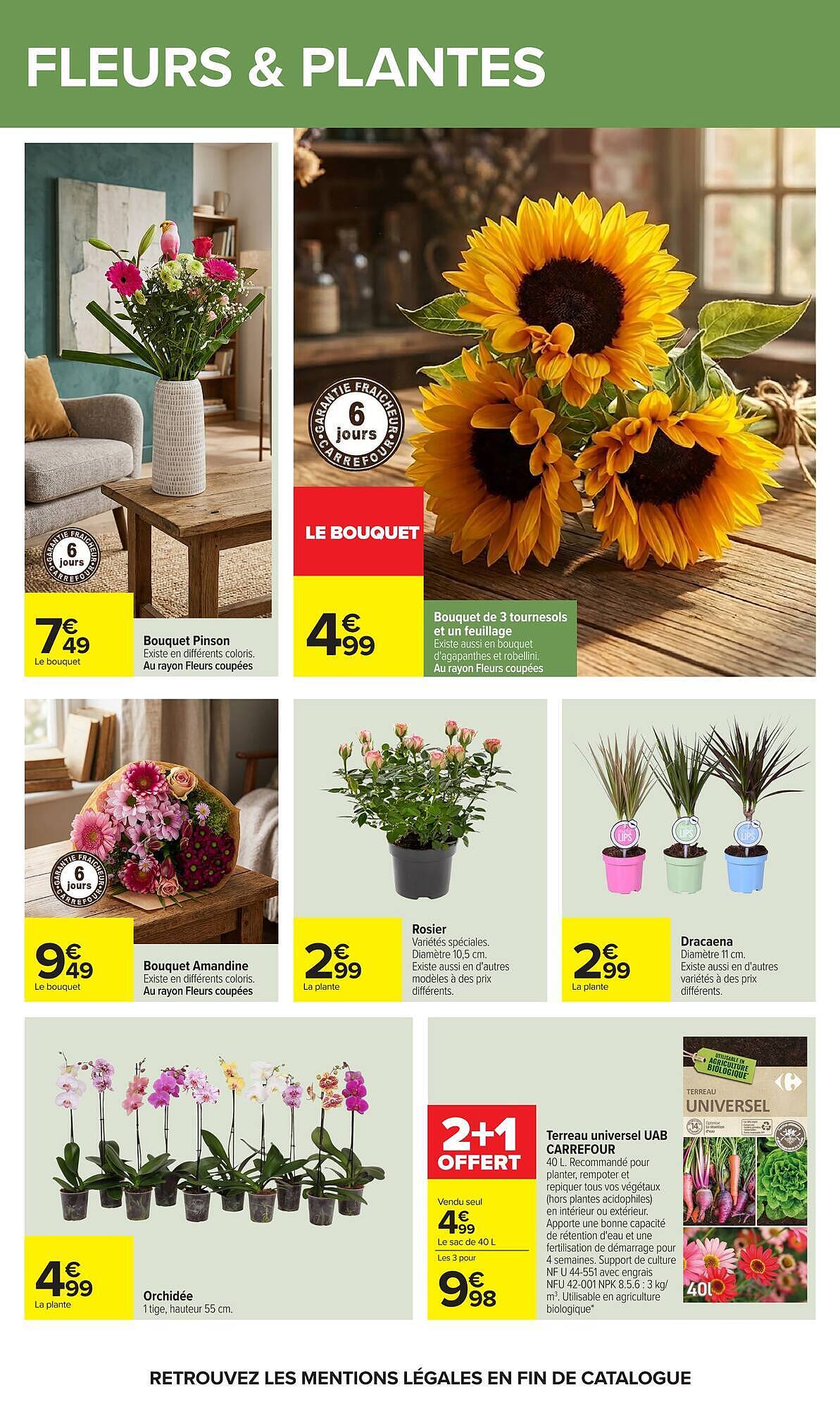 Carrefour Catalogue - Pagina 62