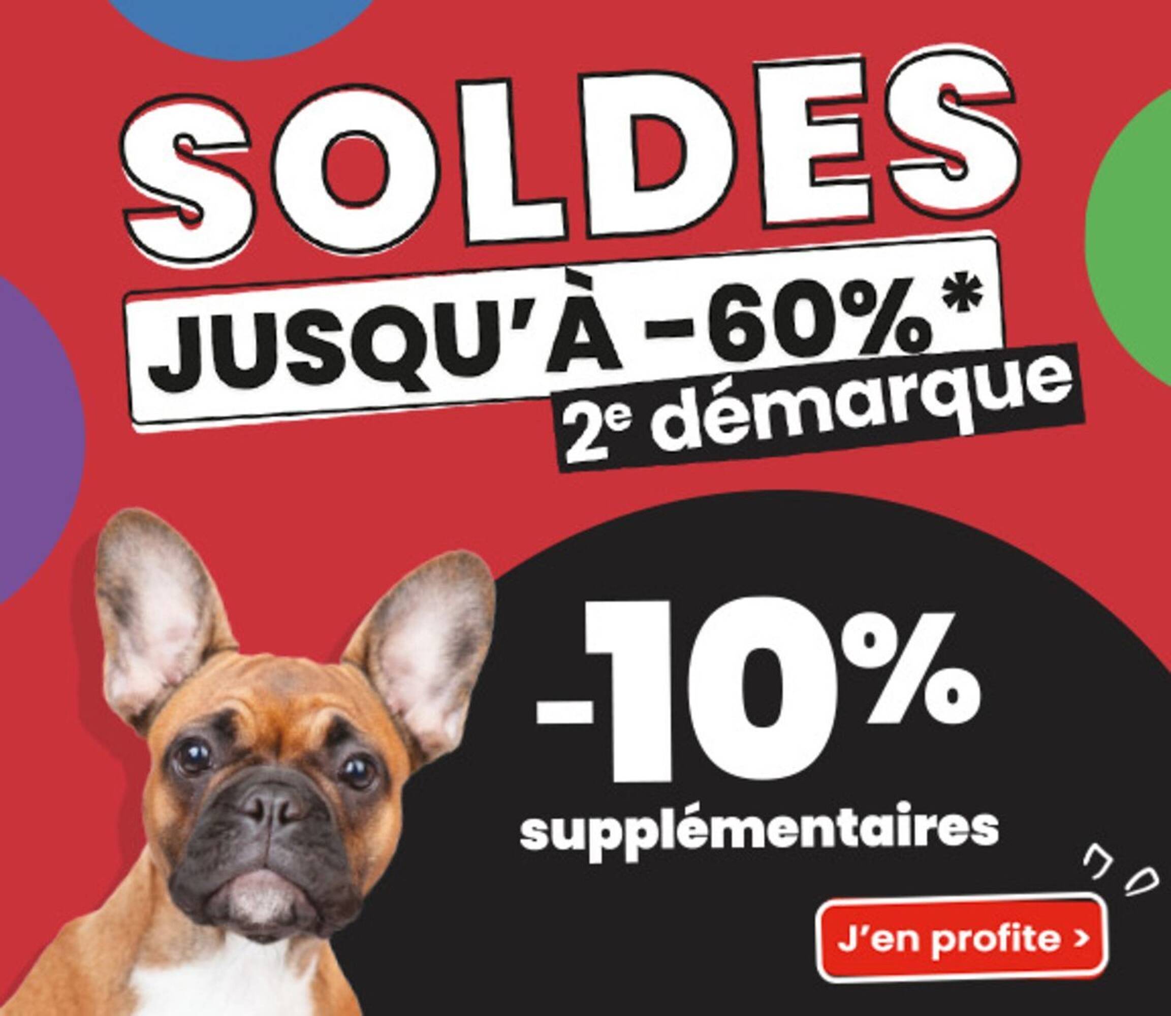 Animalis Catalogue - Pagina 3