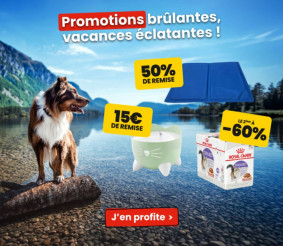 Animalis Catalogue