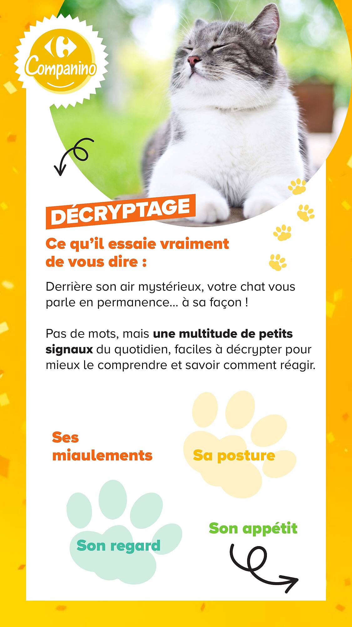 Carrefour Catalogue - Pagina 12