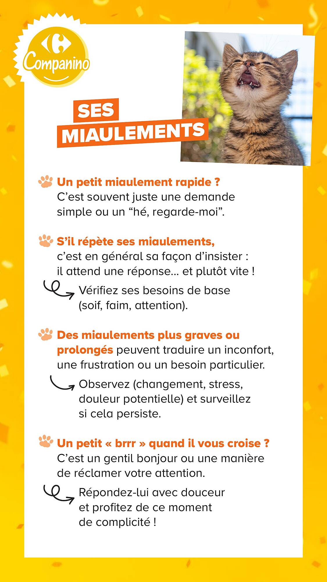 Carrefour Catalogue - Pagina 13