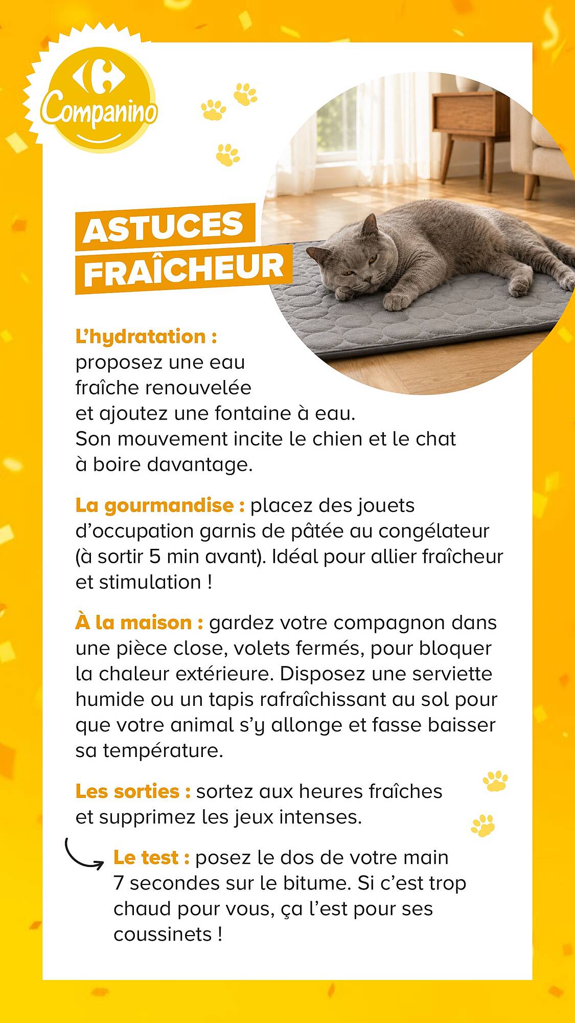 Carrefour Catalogue - Pagina 24