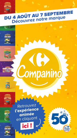 Carrefour Catalogue