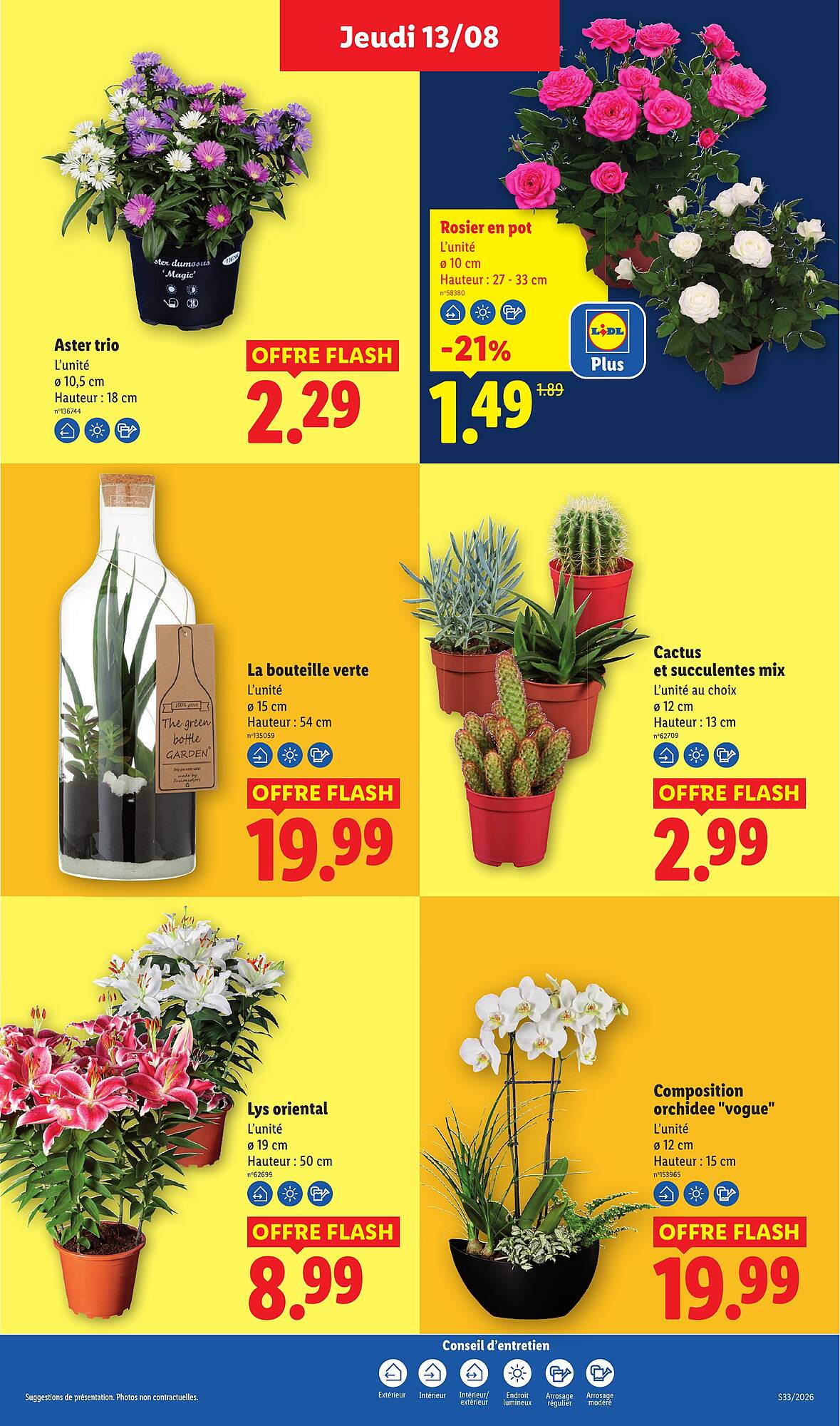 Lidl Catalogue - Pagina 29