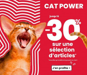 Animalis Catalogue