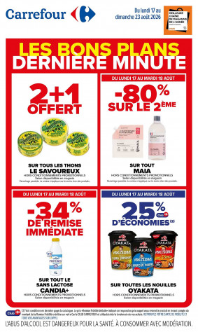 Carrefour catalogue