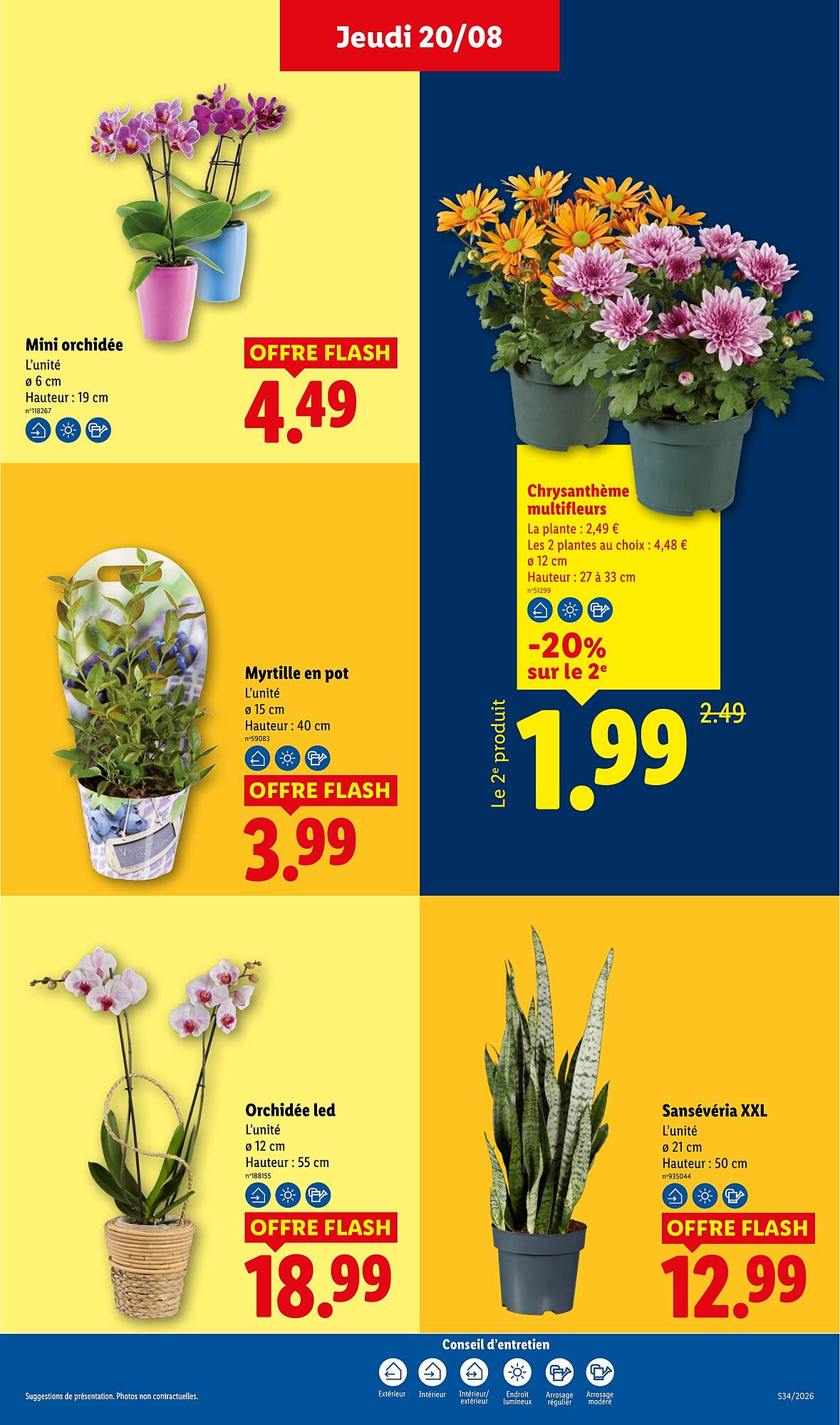 Lidl Catalogue - Pagina 29