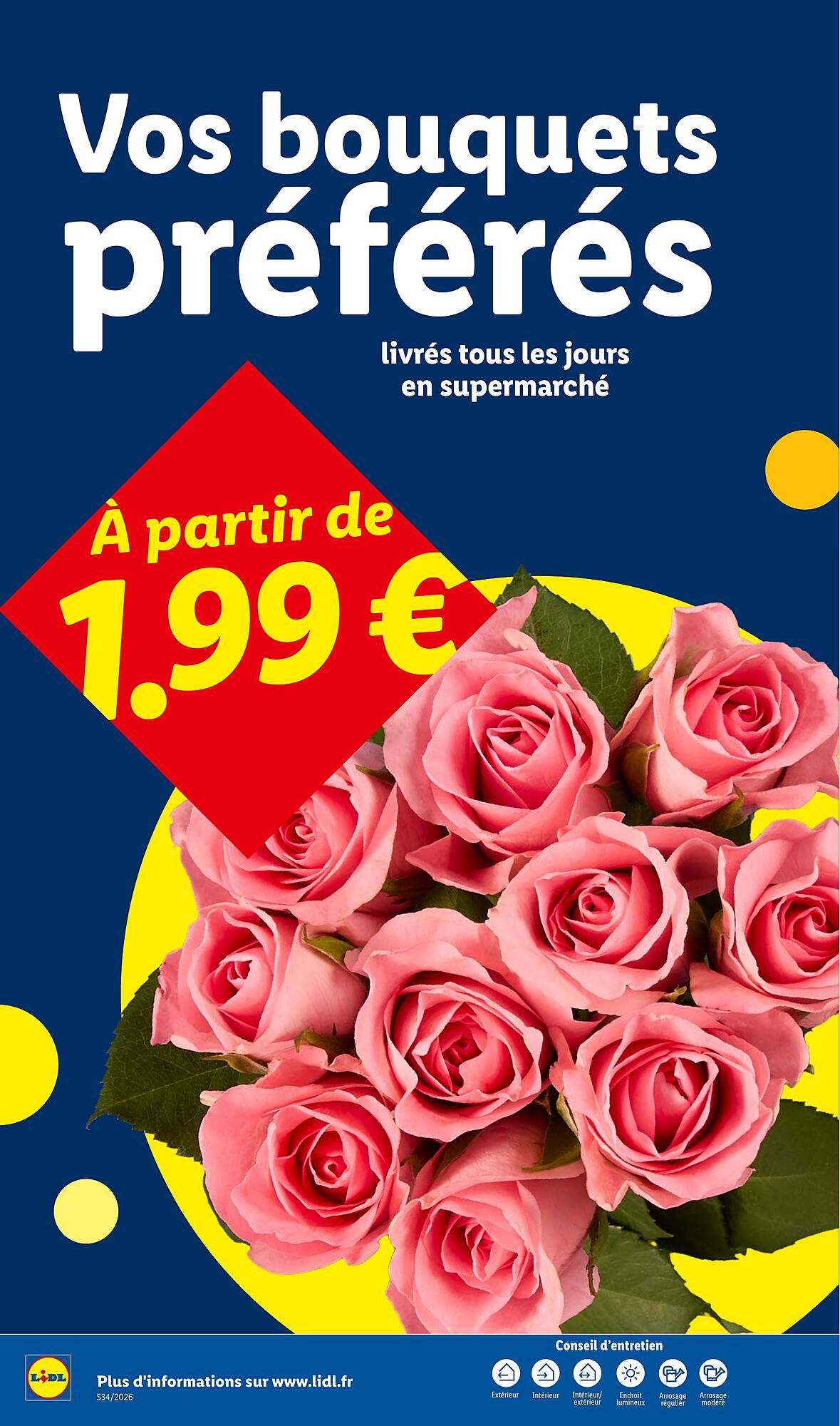 Lidl Catalogue - Pagina 34