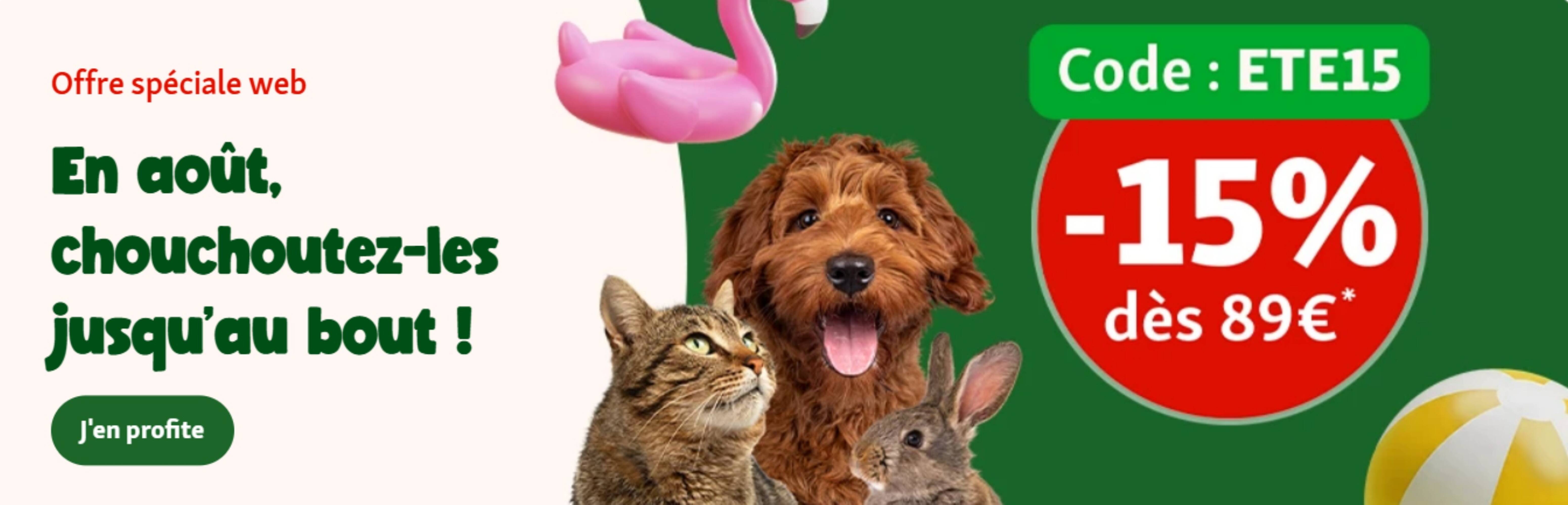 Maxi Zoo Catalogue - Pagina 1