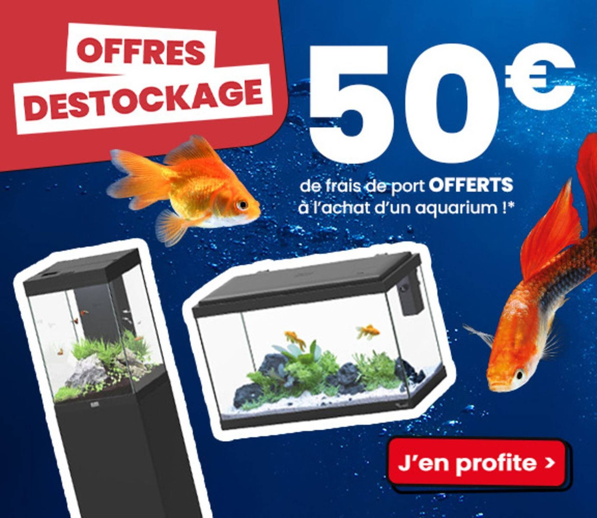 Animalis Catalogue - Pagina 2
