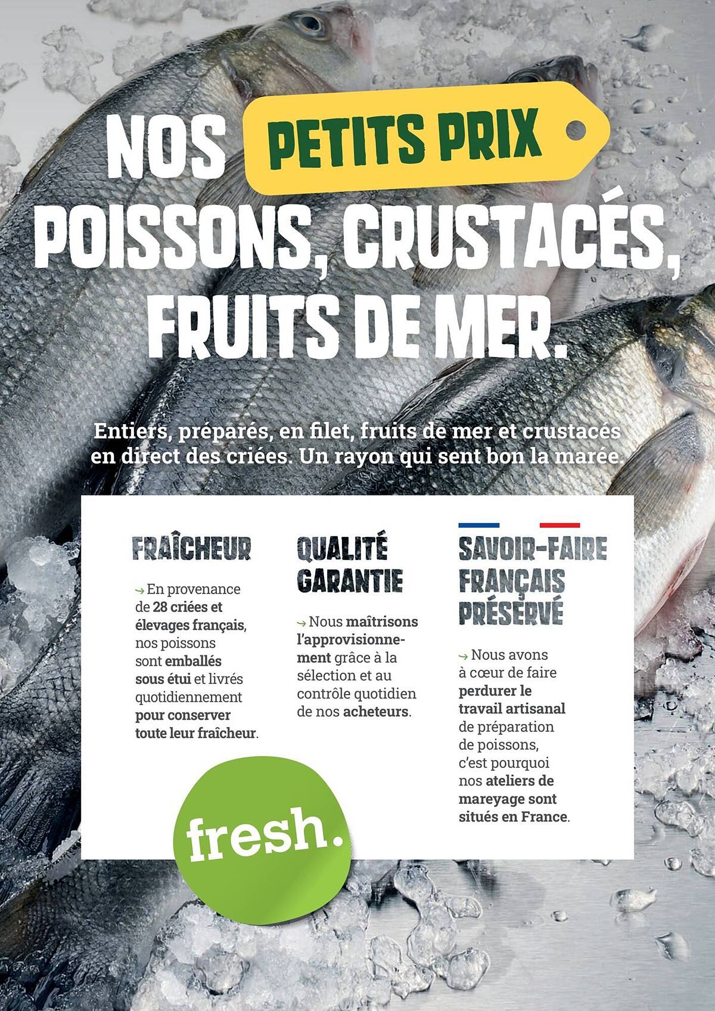 fresh. Catalogue - Pagina 6