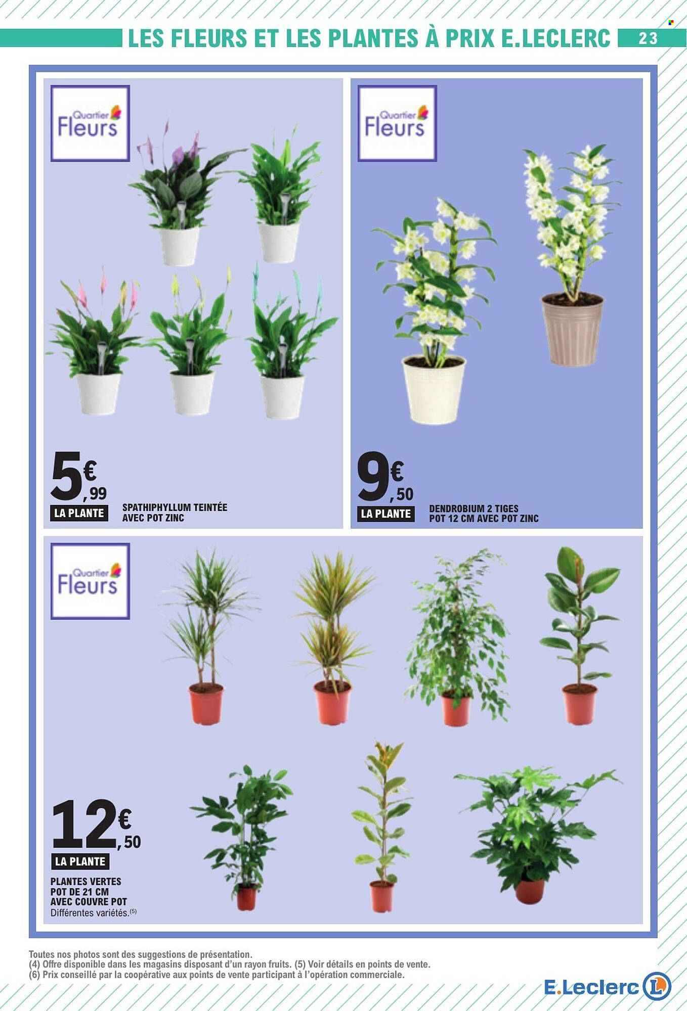 E.Leclerc Catalogue - Pagina 23