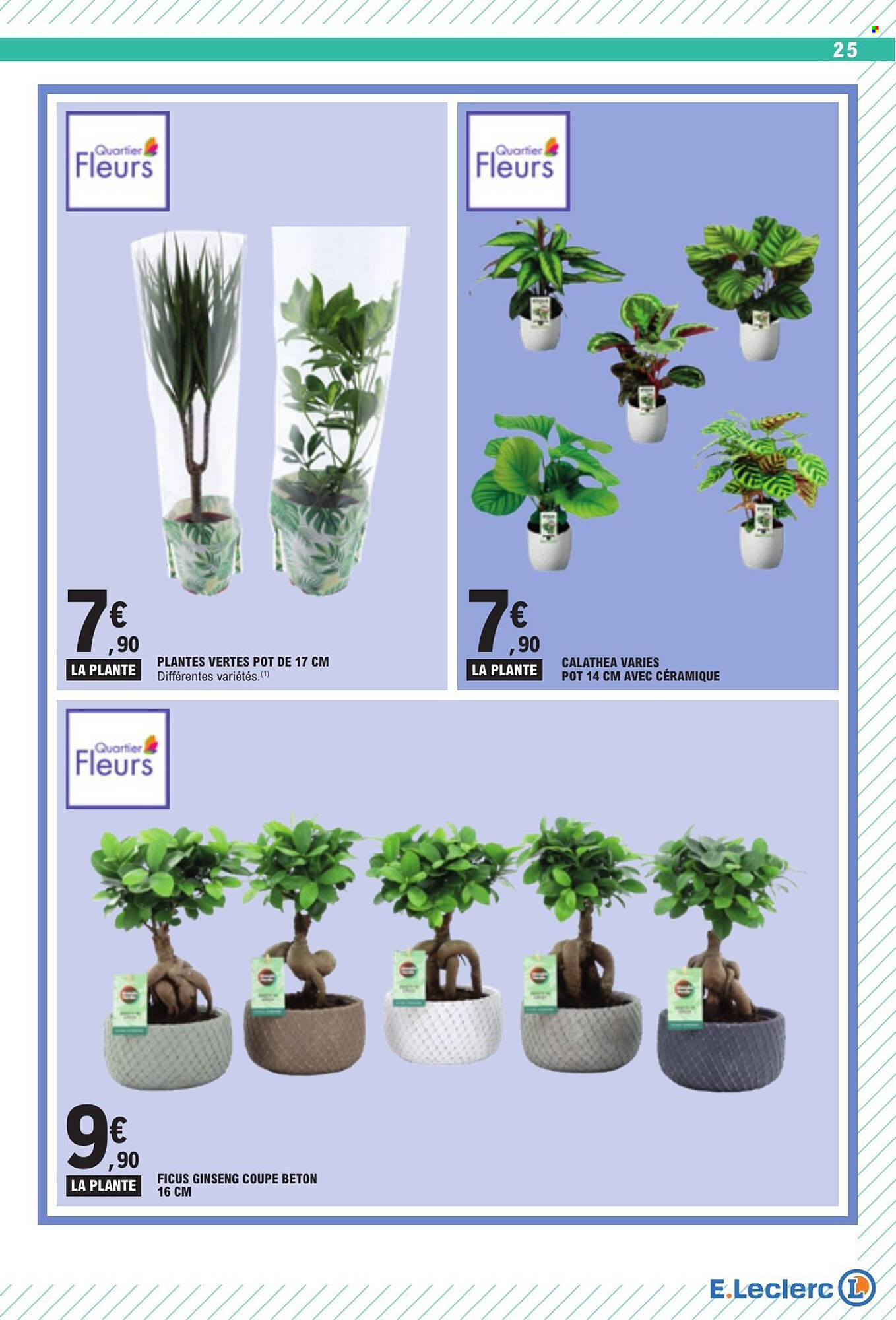 E.Leclerc Catalogue - Pagina 25