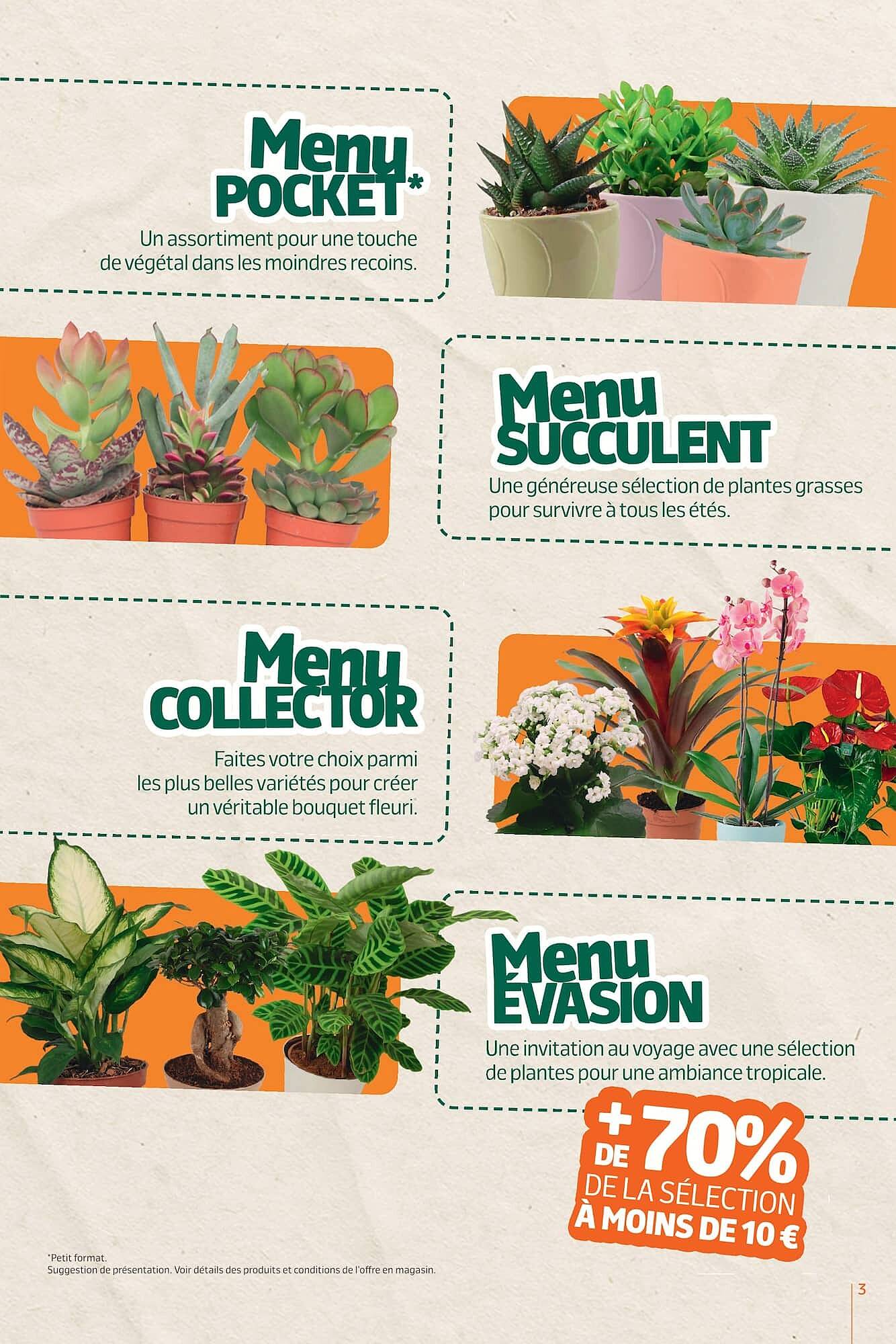 Jardiland Catalogue - Pagina 3