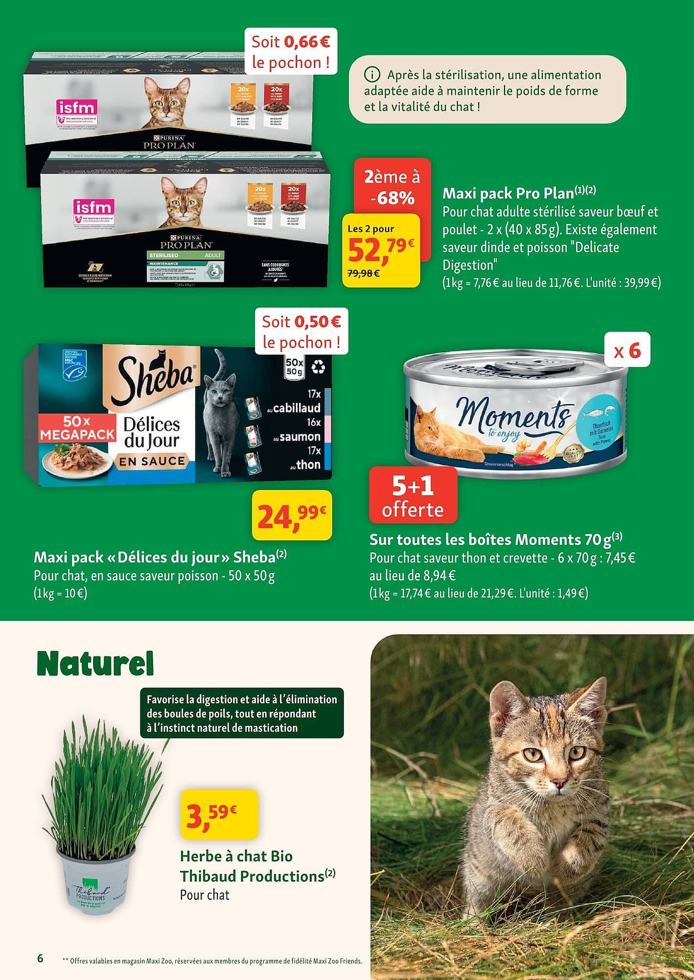 Maxi Zoo Catalogue - Pagina 6