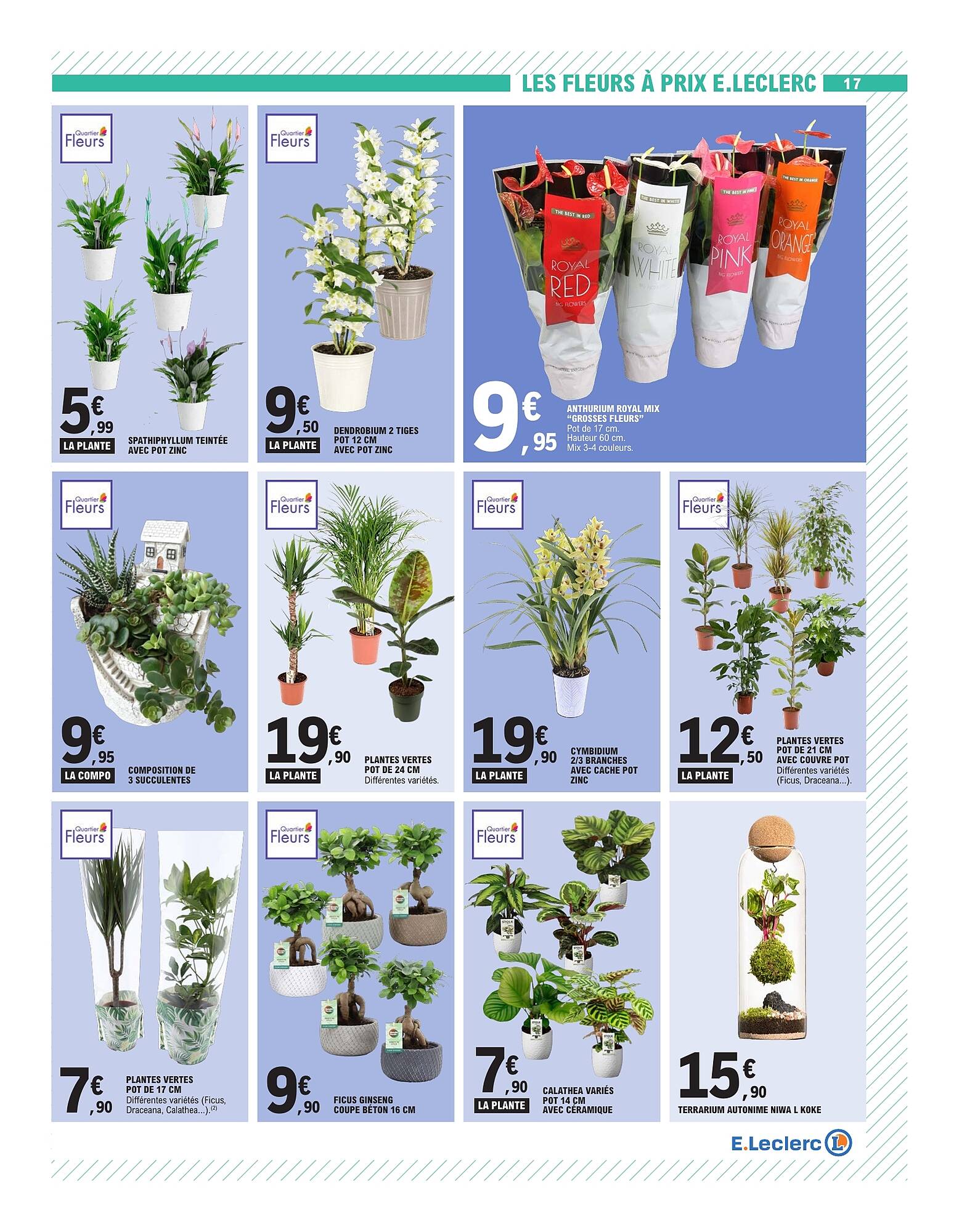 E.Leclerc Catalogue - Pagina 17