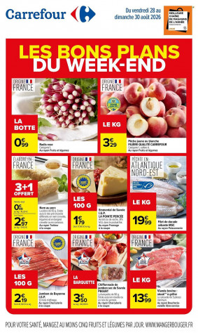 Carrefour catalogue
