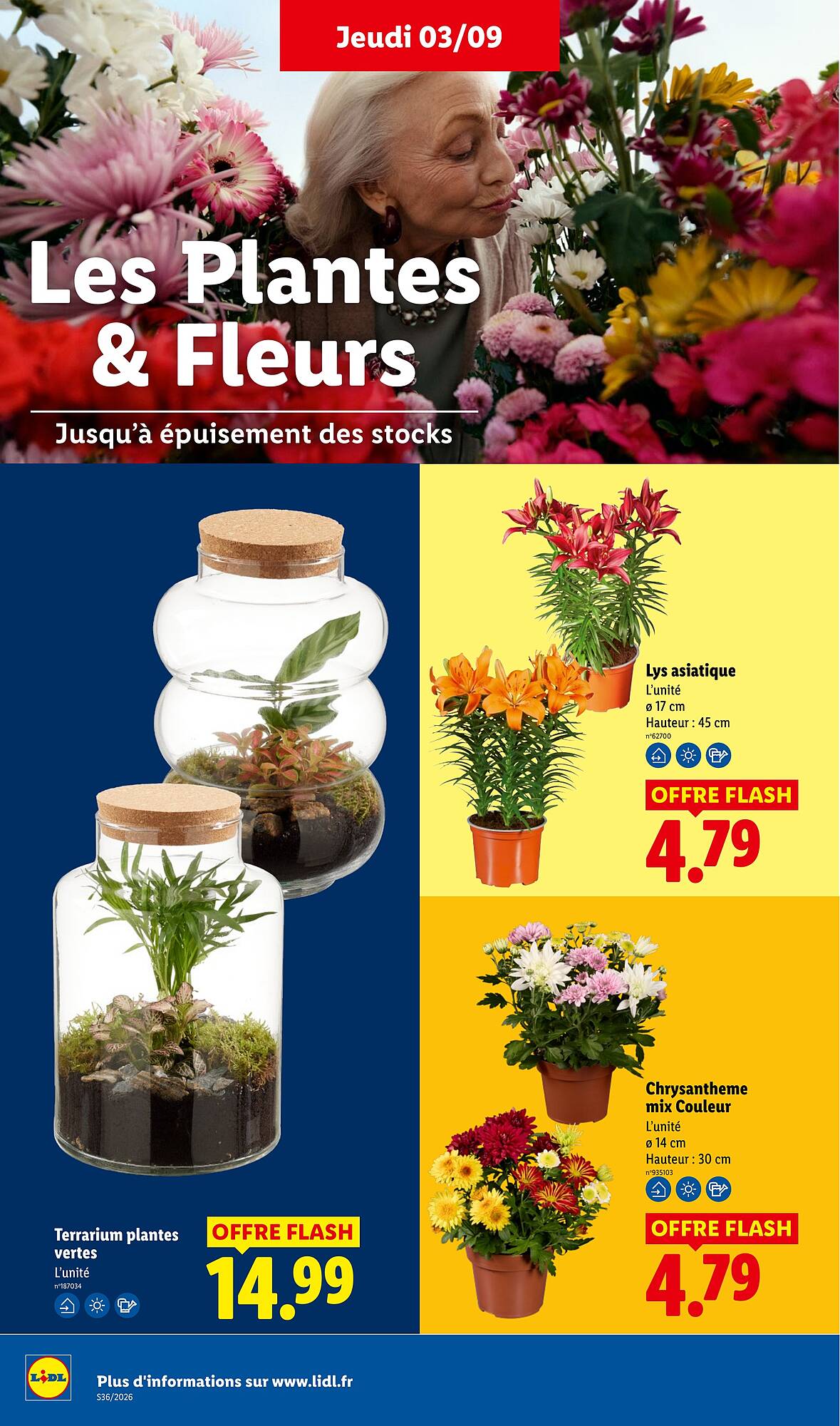 Lidl Catalogue - Pagina 34