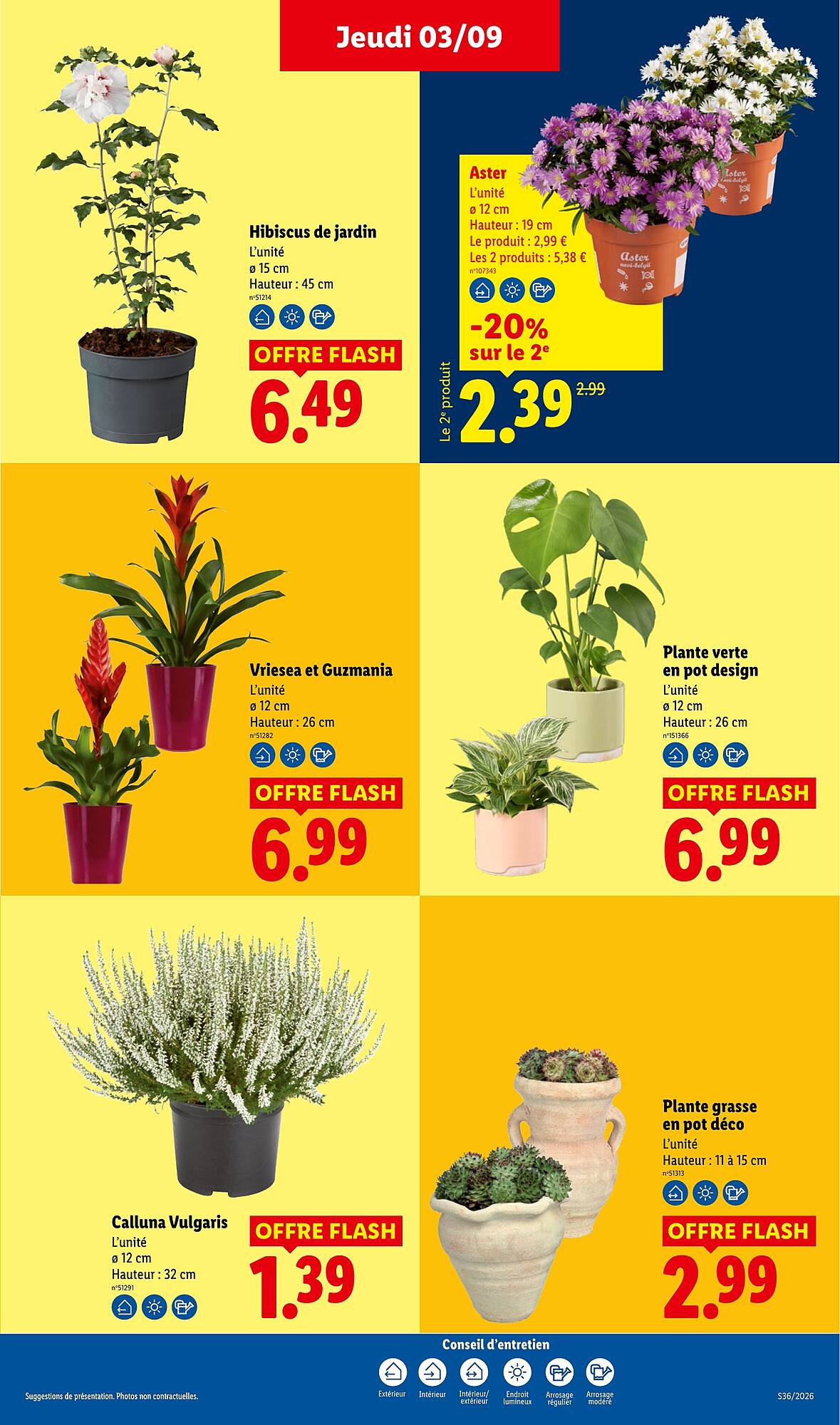 Lidl Catalogue - Pagina 35