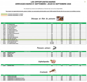 Promocash catalogue