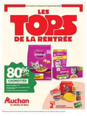 Auchan Catalogue