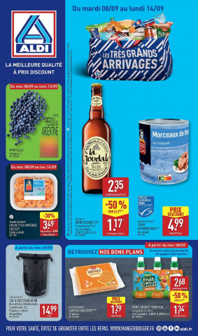 ALDI catalogue