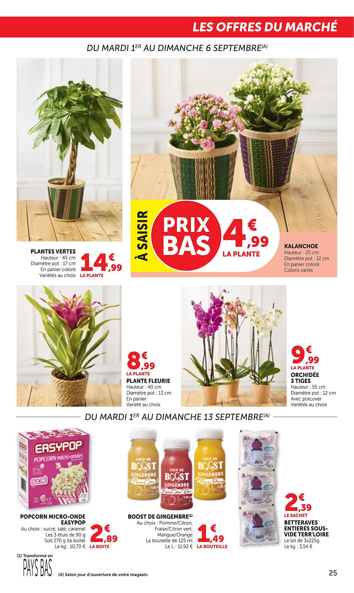 Bi1 Catalogue - Pagina 25