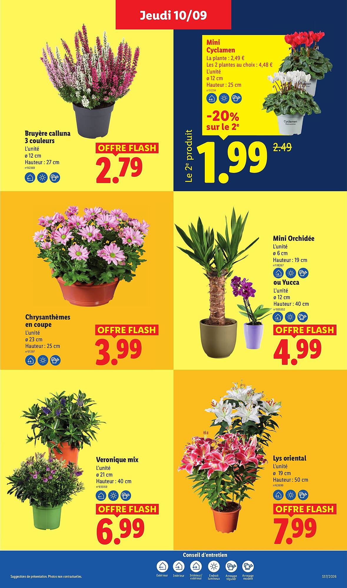 Lidl Catalogue - Pagina 49